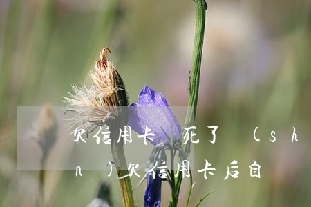 欠信用卡錢死了誰(shuí)承擔(dān)（欠信用卡后自殺）