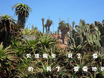 欠信用卡錢死了還要還嗎(當事人欠的信用卡的錢死了還需要他的家人來還嗎)