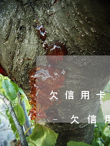 欠信用卡錢沒(méi)有逾期可以貸款嗎-欠信用卡錢沒(méi)有逾期可以貸款嗎知乎