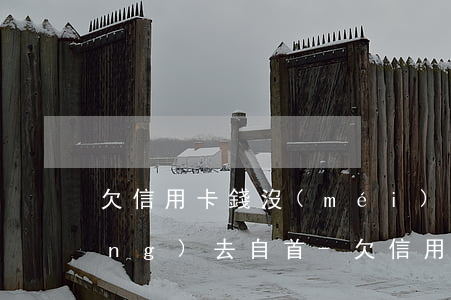 欠信用卡錢沒(méi)能償還主動(dòng)去自首-欠信用卡的錢沒(méi)有還,去自首可以輕判嗎?