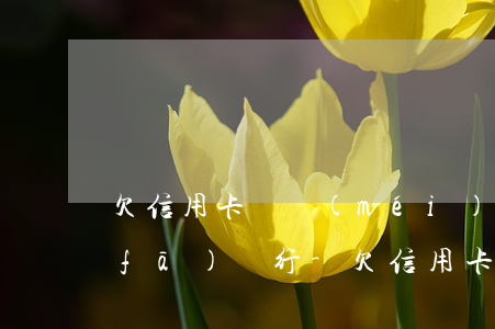 欠信用卡錢沒(méi)錢還怎么辦浦發(fā)銀行-欠信用卡錢沒(méi)錢還怎么辦浦發(fā)銀行卡