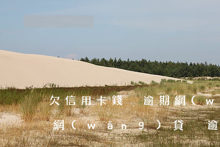 欠信用卡錢沒逾期網(wǎng)貸能過不(網(wǎng)貸沒逾期可以申請(qǐng)信用卡嗎)