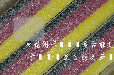 欠信用卡錢沒還是否能交五險一金-欠信用卡錢沒還是否能交五險一金呢