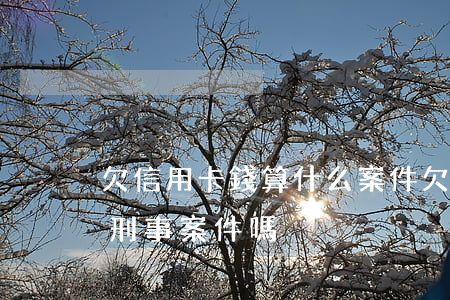 欠信用卡錢算什么案件(欠信用卡的錢是屬于刑事案件嗎)