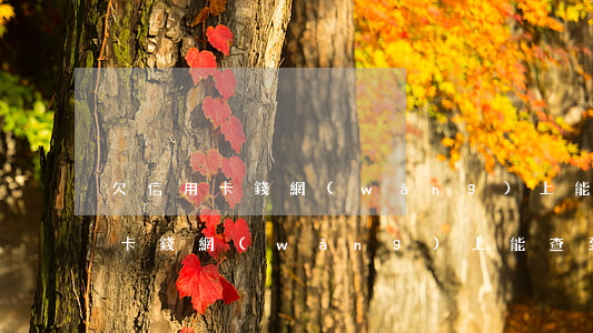 欠信用卡錢網(wǎng)上能查到(欠信用卡錢網(wǎng)上能查到)