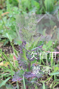 欠信用卡錢能慢慢還嗎 欠信用卡的錢還能貸款嗎
