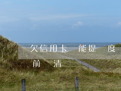 欠信用卡錢能提額度嗎(欠信用卡的錢可以提前還清嗎)