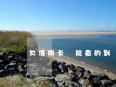 欠信用卡錢能查的到嗎(欠信用卡征信查得到嗎)