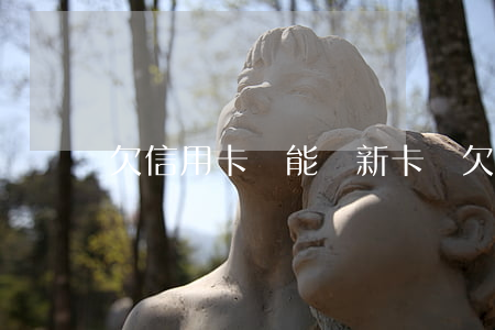 欠信用卡錢能開新卡嗎(欠信用卡錢能開新卡嗎)