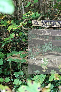 欠信用卡錢自殺(欠信用卡錢死了以后用還嗎)