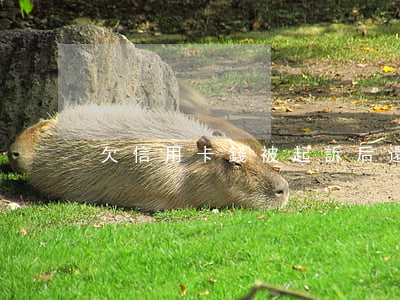 欠信用卡錢被起訴后還能炒股嗎-