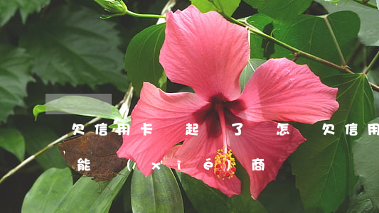 欠信用卡錢起訴了會怎樣（欠信用卡起訴后還能協(xié)商嗎）