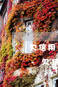 欠信用卡錢起訴多久凍結(jié)銀行卡-欠信用卡錢起訴多久凍結(jié)銀行卡賬戶