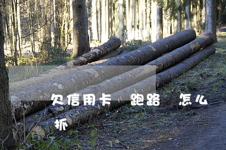 欠信用卡錢跑路會怎么樣（欠信用卡跑路會被抓嗎）
