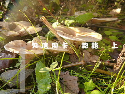 欠信用卡錢跑路還上