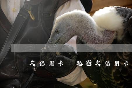 欠信用卡錢逃避(欠信用卡逃跑)