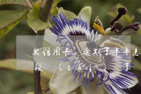 欠信用卡錢逾期了半年怎么辦（信用卡逾期一段時(shí)間了無力還）