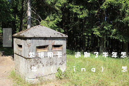 欠信用卡錢逾期了半年怎么辦，信用卡逾期半年，應(yīng)該怎樣處理欠款問題？