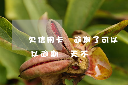 欠信用卡錢逾期了可以幾年再還嗎?（信用卡可以逾期幾天不還）