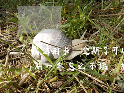 欠信用卡錢逾期了可以幾年再還嗎?（信用卡逾期一年怎么不能還款了）