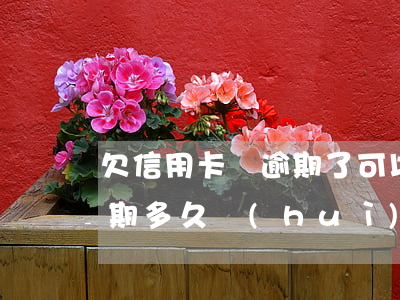 欠信用卡錢逾期了可以幾年再還嗎?（信用卡逾期多久會(huì)被停止還款）