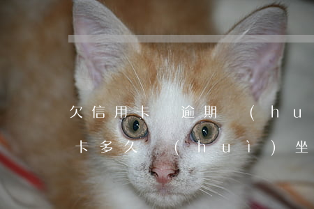 欠信用卡錢逾期會(huì)坐牢嗎(欠信用卡多久會(huì)坐牢)