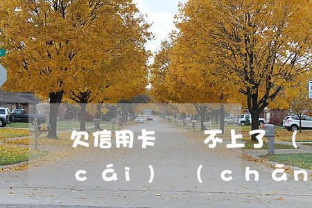 欠信用卡錢還不上了會(huì)抵押財(cái)產(chǎn)嗎-欠信用卡還不上銀行會(huì)把房子抵押了嗎