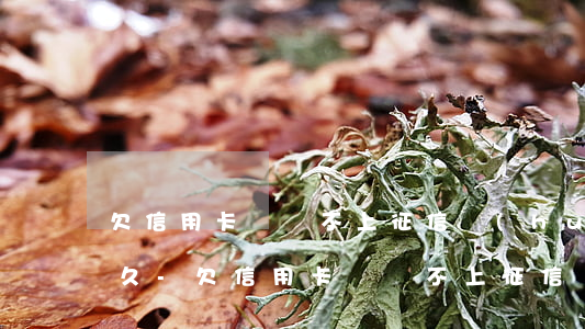 欠信用卡錢還不上征信會(huì)影響多久-欠信用卡錢還不上征信會(huì)影響多久的征信