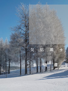 欠信用卡錢還不上怎么辦一直逾期-欠信用卡錢還不上怎么辦一直逾期會(huì)怎么樣