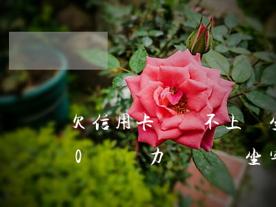 欠信用卡錢還不上會坐牢嗎-欠信用卡100萬無力償還會坐牢嗎