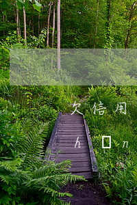 欠信用卡錢還不上沒有財(cái)產(chǎn)怎么辦-欠信用卡錢還不上沒有財(cái)產(chǎn)怎么辦呢