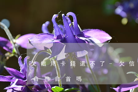 欠信用卡錢還不了-欠信用卡錢還不了可以自己自首嗎