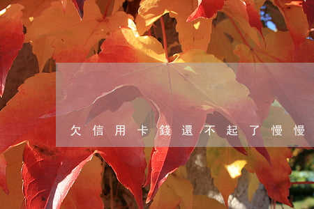 欠信用卡錢還不起了慢慢還行嗎-