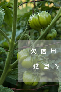 欠信用卡錢還不起然后法律流程-欠信用卡錢還不起然后法律流程怎么辦