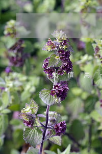 欠信用卡錢還用嗎(欠信用卡的錢慢慢還可以嗎)