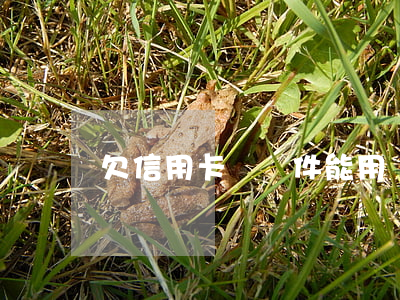 欠信用卡錢郵件能用嗎 欠信用卡錢郵件能用嗎