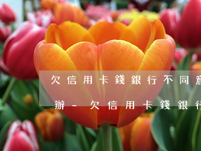 欠信用卡錢銀行不同意協(xié)商怎么辦-欠信用卡錢銀行不同意協(xié)商怎么辦