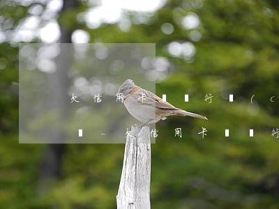 欠信用卡錢銀行儲(chǔ)蓄卡還可以用嗎-欠信用卡錢銀行儲(chǔ)蓄卡還可以用嗎安全嗎
