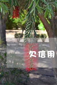 欠信用卡錢銀行卡會自動扣款嗎