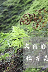 欠信用卡錢銀行委托第三方催收（欠信用卡委托方是什么）