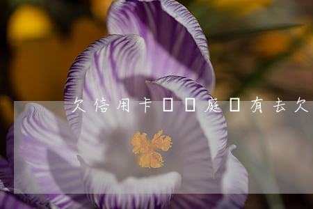 欠信用卡錢開庭沒有去(欠信用卡錢說開庭)