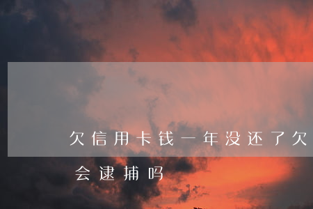 欠信用卡钱一年没还了(欠信用卡一年多真的会逮捕吗)
