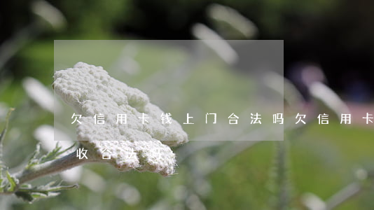 欠信用卡钱上门合法吗(欠信用卡的钱上门催收合法吗)