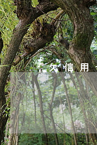 欠信用卡钱五年没还(欠信用卡钱五年没还)