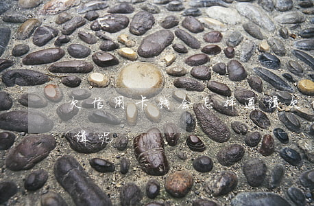 欠信用卡钱会怎样通缉(欠信用卡钱会怎样通缉呢)