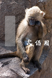 欠信用卡钱出门打工