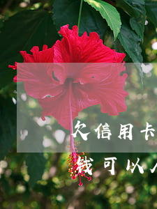 欠信用卡钱可以从储蓄卡里扣吗-欠信用卡钱可以从储蓄卡里扣吗安全吗
