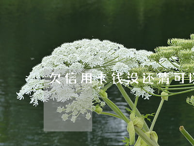 欠信用卡钱没还清可以改名字吗-