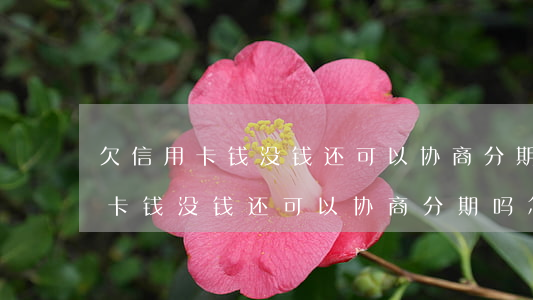 欠信用卡钱没钱还可以协商分期吗-欠信用卡钱没钱还可以协商分期吗怎么办