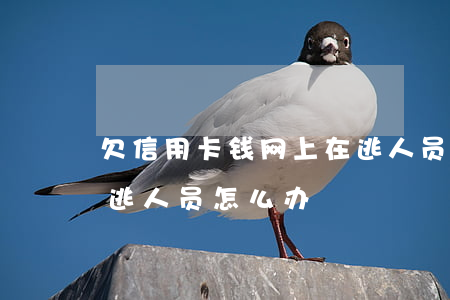 欠信用卡钱网上在逃人员(欠信用卡钱网上在逃人员怎么办)